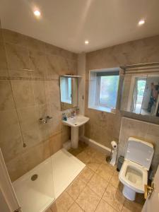 a bathroom with a shower and a toilet and a sink at Phoenix Cottage in Kippford