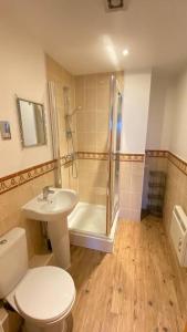 een badkamer met een toilet, een douche en een wastafel bij City Centre Apartment Jewellery Quarter in Birmingham