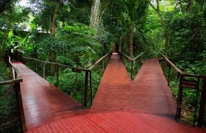 a wooden bridge in the middle of the forest at La Reserva Virgin Lodge in Puerto Iguazú