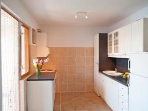 Kuchyň nebo kuchyňský kout v ubytování Apartment Jelka
