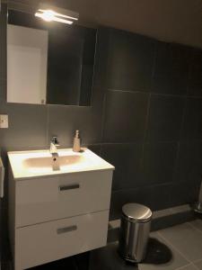 a bathroom with a white sink and a mirror at Appartement de 110m2 au centre de Cusset in Cusset