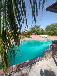 a swimming pool at or near villa margarita resort at Aloha Farm & Camp in Udaipur