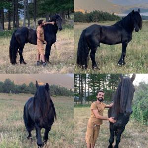 a man standing next to a black horse in a field at Gîte Ranch Le Serpolet in Les Angles