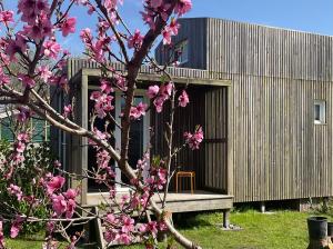 un arbre aux fleurs roses devant un bâtiment dans l'établissement Petite Maison Contemporaine, à Saubion