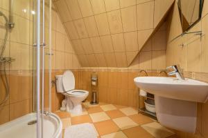 a bathroom with a toilet and a sink and a shower at Sykowny Dworek Apartamenty in Kościelisko