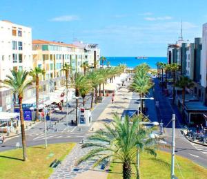 een straat met palmbomen en de oceaan bij Appartement face à la mer in Cap d'Agde