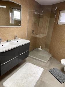 a bathroom with a sink and a shower at Apartament cozy in Villerupt