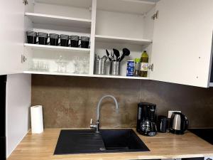 eine Küche mit einer Spüle und einer Arbeitsplatte in der Unterkunft Apartament cozy in Villerupt