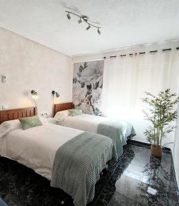 a bedroom with two beds and a potted plant at NorbeHouse in Zamora
