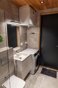 une salle de bains avec lave-linge et lavabo dans l'établissement Levi Platinum Superior Apartments, à Levi 9 autres photos
