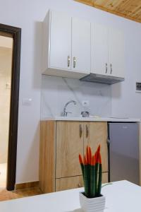 Kuchyň nebo kuchyňský kout v ubytování Osmani Rooms Sarande + 51 fotografií