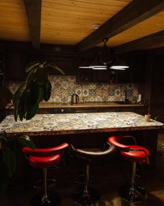 a kitchen with a counter with red bar stools at BRB Park Hotel in Vizhenka