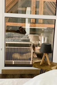 un dormitorio con ventana y un perro en una habitación en Le Clos de l'Angley Gîtes et Écurie en Caffiers