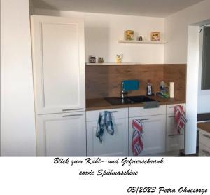 a kitchen with a white refrigerator and a sink at Ferienhaus im Harz in Harzgerode