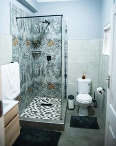 Mdumela Stays 2 Bedroom Modern City Apartment في بيترماريتزبورغ: حمام مع دش مع مرحاض