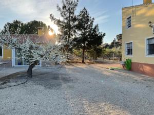 Kép LA ANTIGUA CASA DEL ASTRONOMO Casa Rural szállásáról Ricotéban a galériában