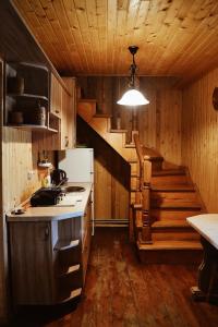 Кухня или мини-кухня в OSA - дерев'яні будиночки біля гірськолижного курорту

