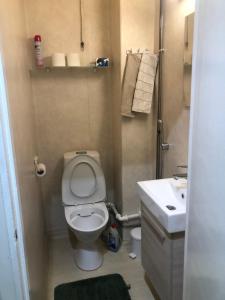 a small bathroom with a toilet and a sink at Studio in the center with free private parking in Kemi