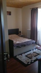 1 dormitorio con cama y ventana en Pensiunea Zece Brazi Cheia, en Măneciu
