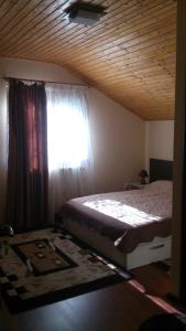 1 dormitorio con cama y ventana en Pensiunea Zece Brazi Cheia en Măneciu