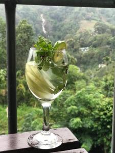 a glass of wine sitting on a table with a view at Minthu Homestay in Ella