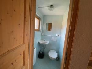 ein Badezimmer mit einem weißen WC und einem Waschbecken in der Unterkunft Zillertaler Sennhuette in Hart im Zillertal
