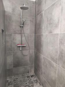 a shower with a shower head in a bathroom at Ferienhaus Luna am schönen Harkebrügger See mit Kamin und Sauna in Barßel
