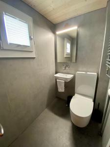 Vannituba majutusasutuses CHALET EGGLEN "Typical Swiss House, Best Views, Private Jacuzzi"