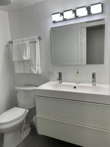 een badkamer met een toilet, een wastafel en een spiegel bij Perfect place to enjoy the city or just relax in Chicago