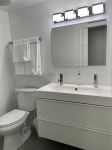 a bathroom with a toilet and a sink and a mirror at Perfect place to enjoy the city or just relax in Chicago +12 photos