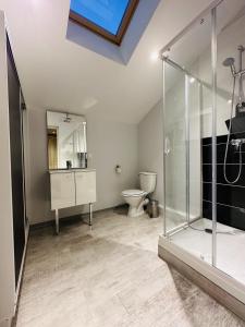 a bathroom with a glass shower and a toilet at L'Entrepotes in Rethel
