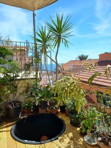 a bunch of potted plants sitting on a balcony at Plan B in Imperia