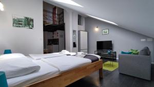 1 dormitorio con 1 cama grande y TV en Apartments Protin sokak, en Sarajevo