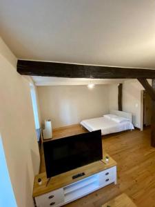um quarto com uma cama e uma televisão em Appartement de 50m2 au centre de Cusset em Cusset