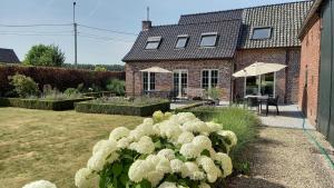 a garden with white flowers in front of a house at Hermelgemhoeve - Liriope in Zwalm