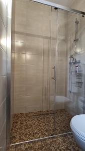 a bathroom with a glass shower with a toilet at Apartments Protin sokak in Sarajevo