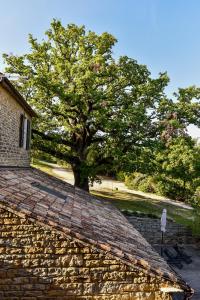 Fotografie z fotogalerie ubytování L'Abbraccio della Quercia - Suites v destinaci Buje