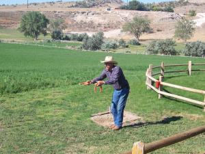 Majutusasutuse K3 Guest Ranch külastajad