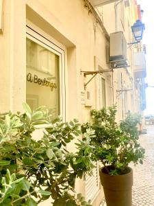 um edifício com uma janela com plantas em frente em Estúdio Berlenga na Nazaré