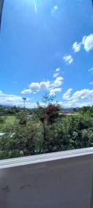 a view from a window of a field with trees at Departamentos San Martin 2175 in Salta