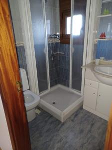 y baño con ducha, aseo y lavamanos. en Casa s.pedro visma, en A Coruña