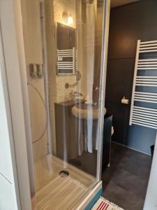 a glass shower in a bathroom with a sink at LES CERISIERS 2 in Nogaro