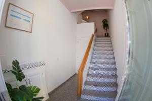 una escalera con una alfombra azul y blanca estampada en Pension Casa Manolo en Fonsagrada