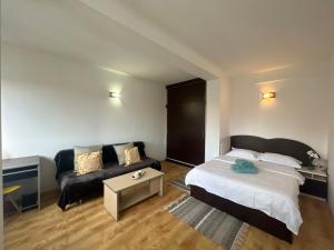 1 dormitorio con 1 cama y 1 sofá en Miha Residence, en Arad