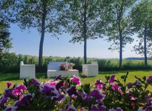 a bunch of flowers in a field with trees at Agriturismo Ca' Pisani in Porto Viro