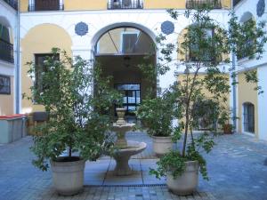 A garden outside Hostal Huespedes Toledo