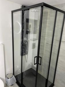 a shower with a glass door in a room at Warta House - Domek z kominkiem nad Wartą in Prusicko