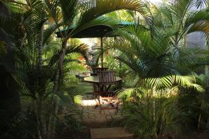 a garden with a table and palm trees at Backpackers Inn in Granada