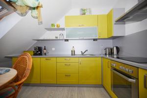 Kuchnia lub aneks kuchenny w obiekcie APARTAMENTY NAD ŁOMNICZKĄ-MALACHIT