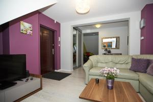 salon z kanapą i telewizorem w obiekcie APARTAMENTY NAD ŁOMNICZKĄ-MALACHIT w mieście Karpacz